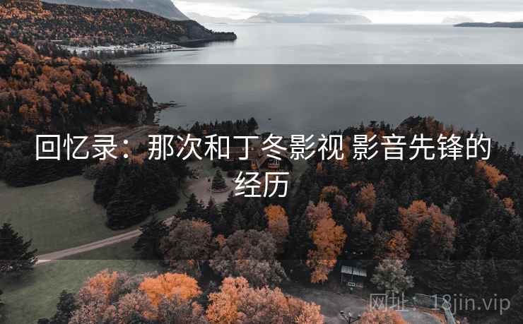 回忆录：那次和丁冬影视 影音先锋的经历