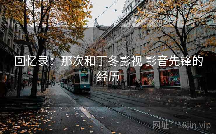 回忆录：那次和丁冬影视 影音先锋的经历