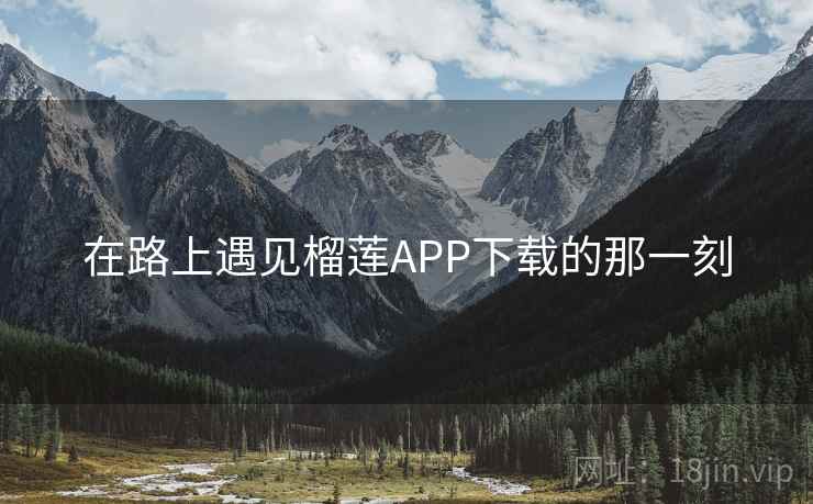 在路上遇见榴莲APP下载的那一刻