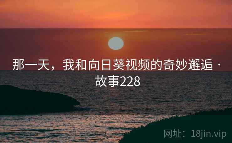 那一天，我和向日葵视频的奇妙邂逅 · 故事228