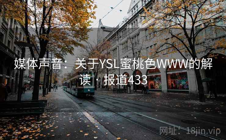 媒体声音：关于YSL蜜桃色WWW的解读 · 报道433