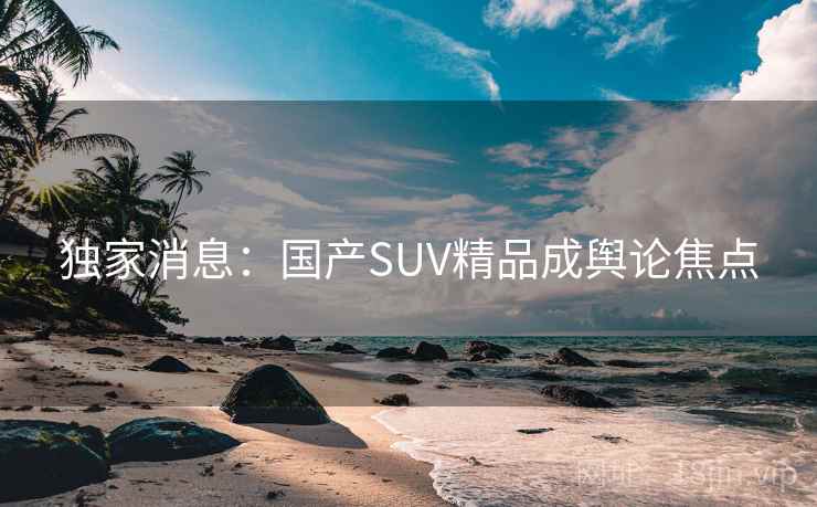 独家消息：国产SUV精品成舆论焦点