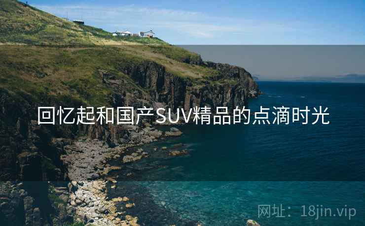 回忆起和国产SUV精品的点滴时光