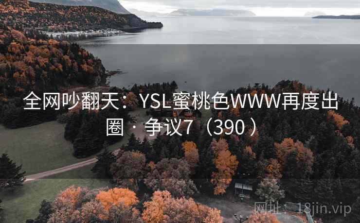 全网吵翻天：YSL蜜桃色WWW再度出圈 · 争议7（390 ）